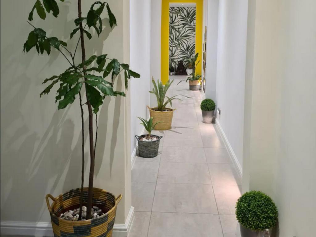 The Little Big Green House Hotel Muizenberg Cameră foto